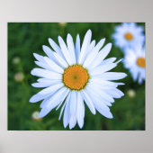 デイジー ポスター (正面)