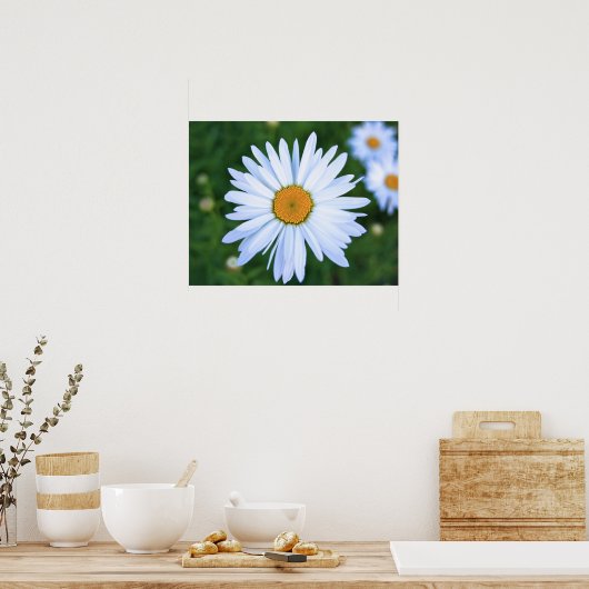 デイジー ポスター (キッチン)