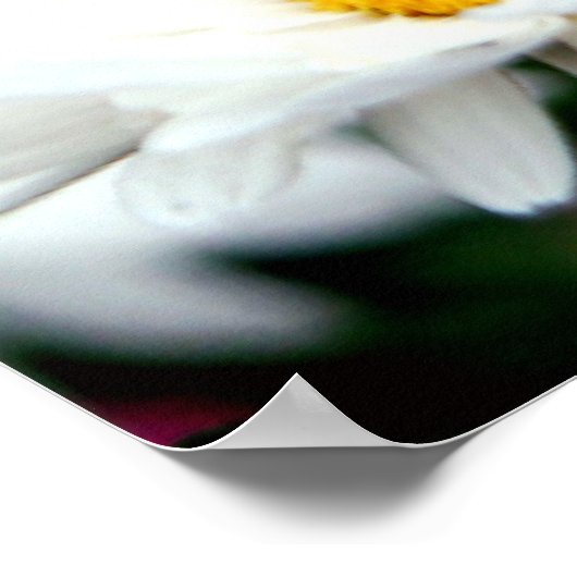 デイジー ポスター (角)