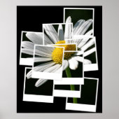 デイジー ポスター (正面)