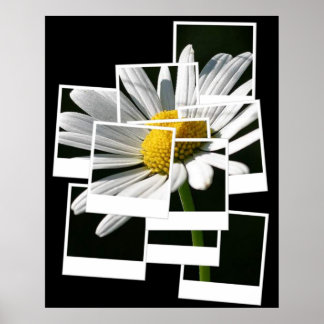 デイジー ポスター