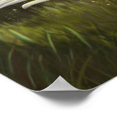 デイジー ポスター (角)