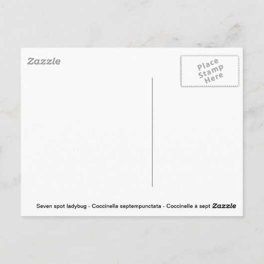 デイジー ポストカード (裏面)