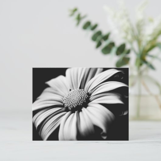 デイジー ポストカード (スタンド正面)