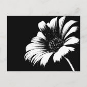 デイジー ポストカード (正面)