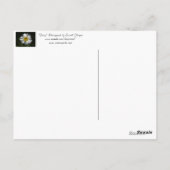 デイジー ポストカード (裏面)