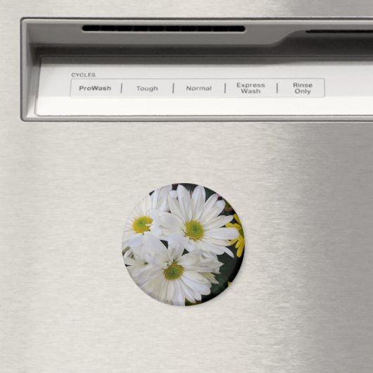 デイジー マグネット (インサイチュ (食洗機))
