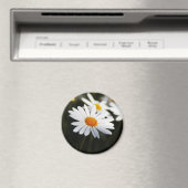 デイジー マグネット (インサイチュ (食洗機))