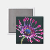 デイジー マグネット (正面/裏面)