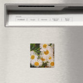 デイジー マグネット (インサイチュ (食洗機))