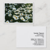 デイジー、ミニフォトカード 名刺 (正面/裏面)