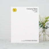 デイジー レターヘッド (スタンド正面)