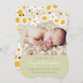 デイジー&レディバグ赤ちゃん女の子の写真の誕生のお知らせ 案内状 (正面/裏面)