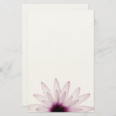 デイジー 便箋 (正面/裏面)