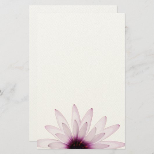 デイジー 便箋 (正面/裏面)