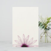 デイジー 便箋 (スタンド正面)