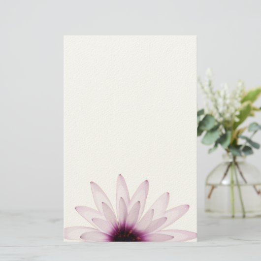 デイジー 便箋 (スタンド正面)