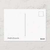 デイジー 夏の結婚式 婚約 ポストカード (裏面)