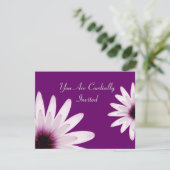 デイジー 招待状 (スタンド正面)