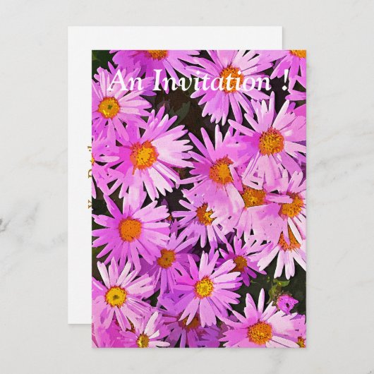 デイジー 招待状 (正面/裏面)
