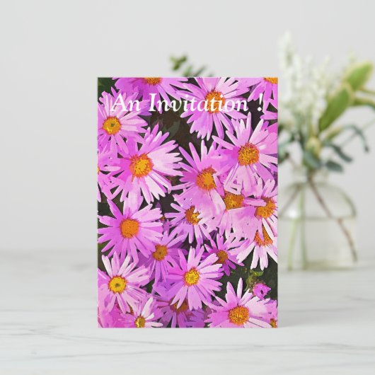 デイジー 招待状 (スタンド正面)