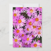 デイジー 招待状 (正面)