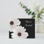 デイジー 招待状 (スタンド正面)