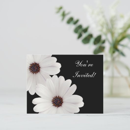 デイジー 招待状 (スタンド正面)