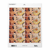 デイジー、白い茶色の黒 ラベル (フルシート)