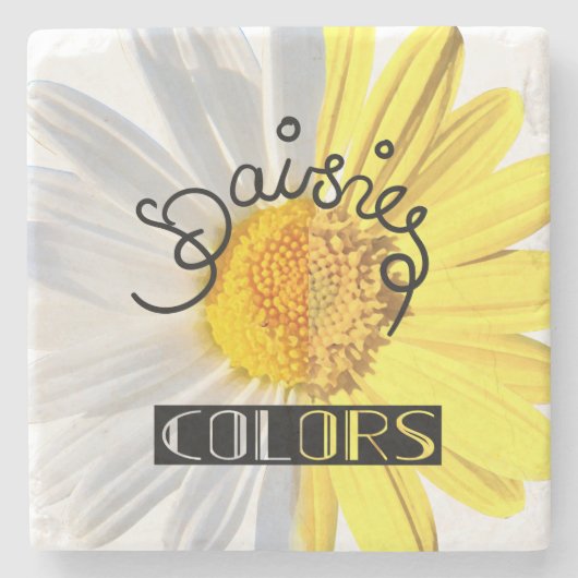 デイジー、白および黄色 ストーンコースター (正面)