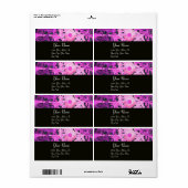 デイジー、紫バイオレットブラック ラベル (フルシート)