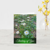 デイジー-考えのカード カード (黄色い花)