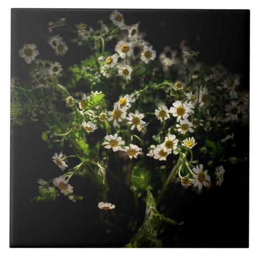 デイジー、花 タイル (正面)