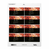 デイジー、赤褐色の黒 ラベル (フルシート)