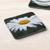デイジー-顔アップ コースター (左側)