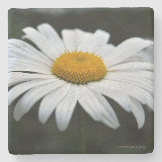デイジー-顔アップ ストーンコースター (正面)