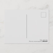 デイジー-顔アップ ポストカード (裏面)