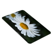 デイジー-顔アップ マグネット (右側)