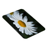デイジー-顔アップ マグネット (右側)