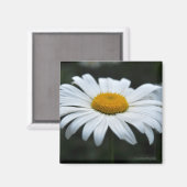 デイジー-顔アップ マグネット (正面/裏面)