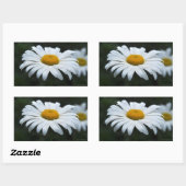 デイジー-顔アップ 長方形シール (シート)