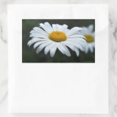 デイジー-顔アップ 長方形シール (バッグ)