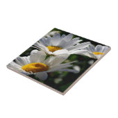 デイジー: 3つの白いデイジー タイル (側面)