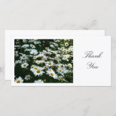 デイジーII -ありがとう サンキューカード (正面/裏面)