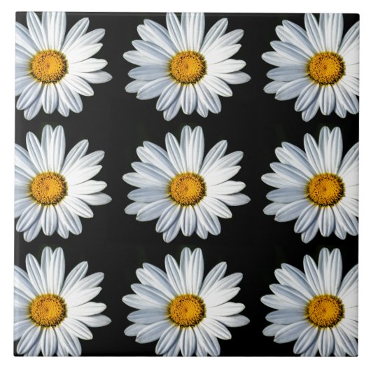 デイジーMae タイル (正面)