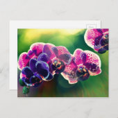 デイスプリングオーキッド ポストカード (正面/裏面)