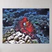 デイタコ ポスター (正面)