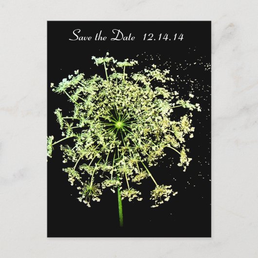 デイトクイーンアンのレースを保存 案内ポストカード (正面)