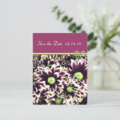 デイトクイーンアンのレースを保存 案内ポストカード (スタンド正面)