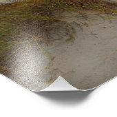 デイトナの美しい砂丘ビーチ, FL フォトプリント            (角)